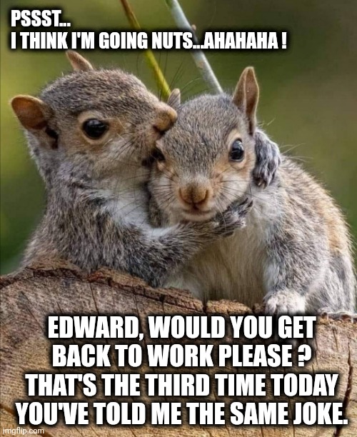 Going nuts | PSSST...
I THINK I'M GOING NUTS...AHAHAHA ! EDWARD, WOULD YOU GET BACK TO WORK PLEASE ? THAT'S THE THIRD TIME TODAY YOU'VE TOLD ME THE SAME JOKE. | image tagged in secret | made w/ Imgflip meme maker