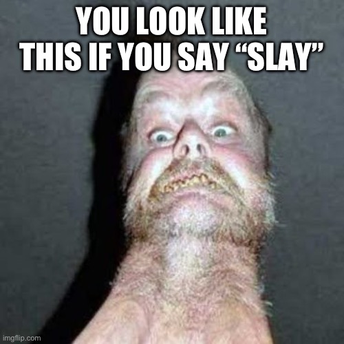 slayed | YOU LOOK LIKE THIS IF YOU SAY “SLAY” | image tagged in slayed | made w/ Imgflip meme maker