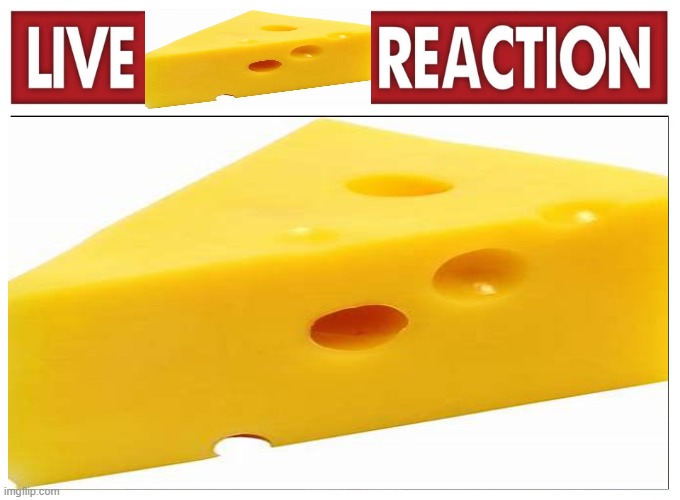 Live Cheese Reaction Blank Meme Template