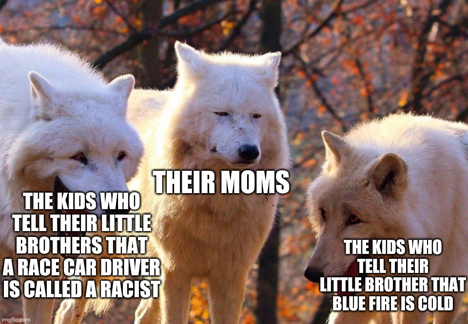 2/3 wolves laugh | THEIR MOMS; THE KIDS WHO TELL THEIR LITTLE BROTHERS THAT A RACE CAR DRIVER IS CALLED A RACIST; THE KIDS WHO TELL THEIR LITTLE BROTHER THAT BLUE FIRE IS COLD | image tagged in 2/3 wolves laugh | made w/ Imgflip meme maker