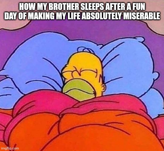 Every day man... | HOW MY BROTHER SLEEPS AFTER A FUN DAY OF MAKING MY LIFE ABSOLUTELY MISERABLE | image tagged in homer simpson sleeping peacefully | made w/ Imgflip meme maker