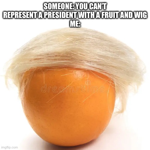 10 upvotes and I put this in politics | SOMEONE: YOU CAN’T REPRESENT A PRESIDENT WITH A FRUIT AND WIG
ME: | image tagged in donald trump | made w/ Imgflip meme maker