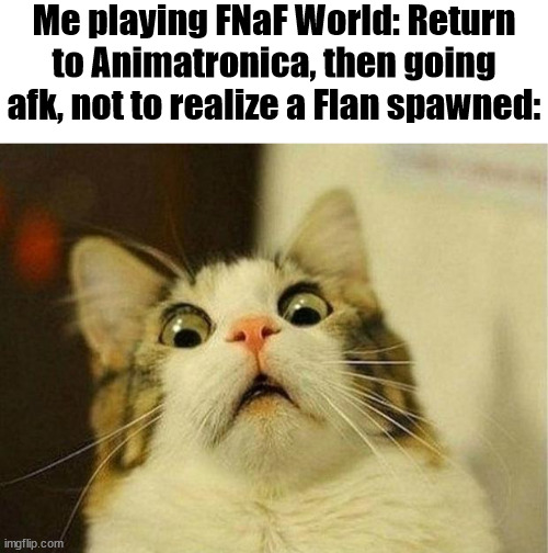 OH NO | Me playing FNaF World: Return to Animatronica, then going afk, not to realize a Flan spawned: | image tagged in memes,scared cat,oh no cat,fnaf world,roblox,fnaf | made w/ Imgflip meme maker