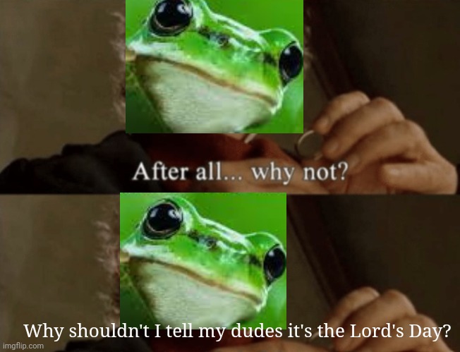 Why not Lord's day | Why shouldn't I tell my dudes it's the Lord's Day? | image tagged in after all why not,frog,its the lords day,my dudes,lord's day | made w/ Imgflip meme maker