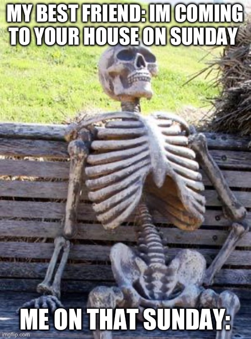 based on a true story :D | MY BEST FRIEND: IM COMING TO YOUR HOUSE ON SUNDAY; ME ON THAT SUNDAY: | image tagged in memes,waiting skeleton | made w/ Imgflip meme maker