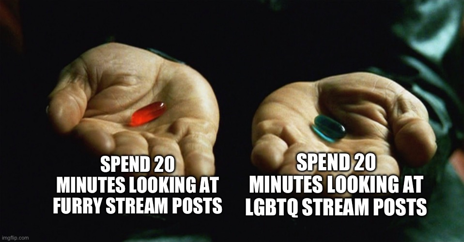 Your punishment is one of these | SPEND 20 MINUTES LOOKING AT FURRY STREAM POSTS; SPEND 20 MINUTES LOOKING AT LGBTQ STREAM POSTS | image tagged in red pill blue pill | made w/ Imgflip meme maker