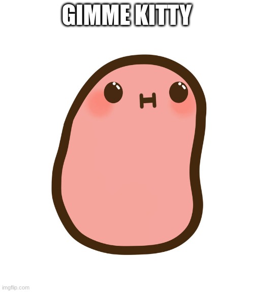 cause im a kawaii potato bitch | GIMME KITTY | image tagged in cause im a kawaii potato bitch | made w/ Imgflip meme maker