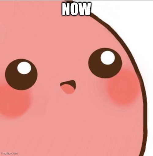 Kawaii Potato | NOW | image tagged in kawaii potato | made w/ Imgflip meme maker