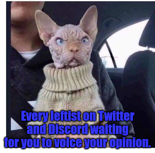Always Watching. | Every leftist on Twitter and Discord waiting for you to voice your opinion. | image tagged in hairless cat | made w/ Imgflip meme maker