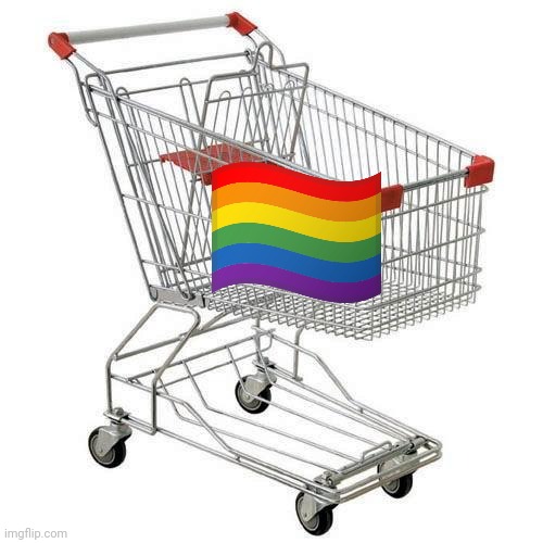 Shopping carts are gay | image tagged in shopping cart | made w/ Imgflip meme maker