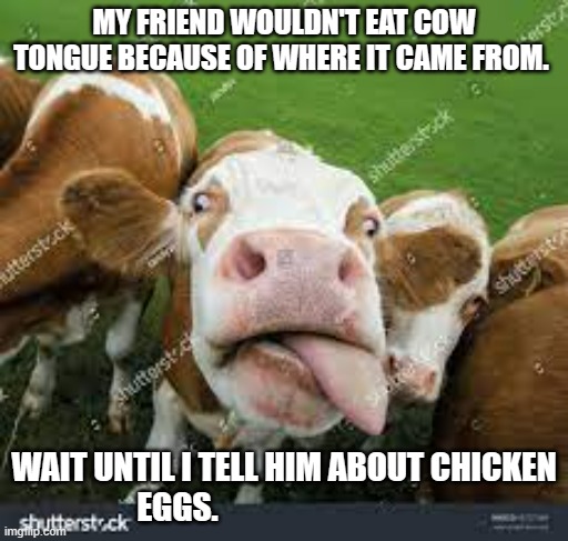 meme by Brad cow tongues and chicken eggs | MY FRIEND WOULDN'T EAT COW TONGUE BECAUSE OF WHERE IT CAME FROM. WAIT UNTIL I TELL HIM ABOUT CHICKEN EGGS. | image tagged in animals | made w/ Imgflip meme maker