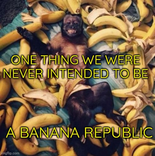 Thank you Democrats for making us a banana republic. Great work. | ONE THING WE WERE NEVER INTENDED TO BE; A BANANA REPUBLIC | image tagged in monkey bananas,banana republic | made w/ Imgflip meme maker