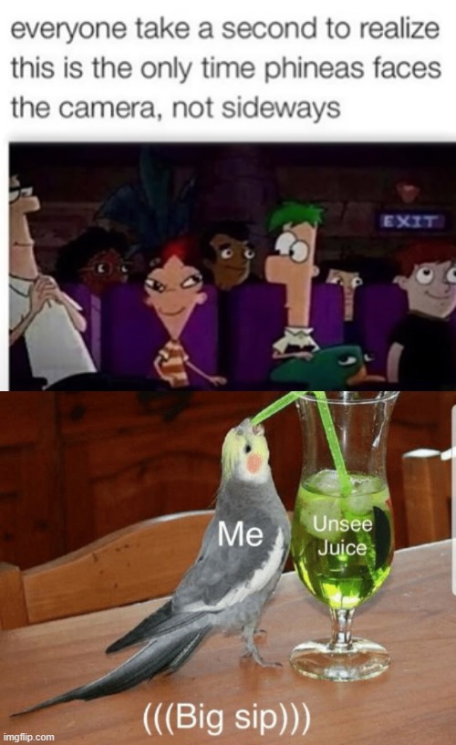 Cursed image | image tagged in unsee juice,phineas and ferb,memes,cursed | made w/ Imgflip meme maker