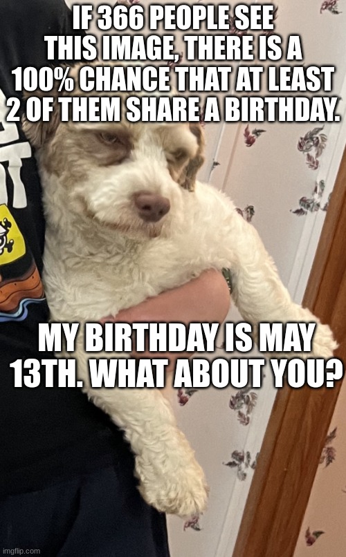 . | IF 366 PEOPLE SEE THIS IMAGE, THERE IS A 100% CHANCE THAT AT LEAST 2 OF THEM SHARE A BIRTHDAY. MY BIRTHDAY IS MAY 13TH. WHAT ABOUT YOU? | image tagged in annoyed fangz/kramer | made w/ Imgflip meme maker