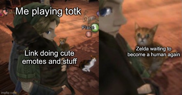 (TotK spoilers) Yeah zeldy just wait another 20000 years | Me playing totk; Zelda waiting to become a human again; Link doing cute emotes and stuff | image tagged in cat needs attention zelda version,totk,gaming,link | made w/ Imgflip meme maker