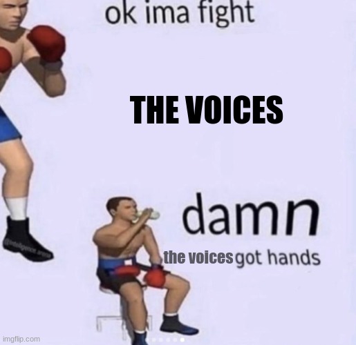 damn got hands | THE VOICES; the voices | image tagged in damn got hands | made w/ Imgflip meme maker