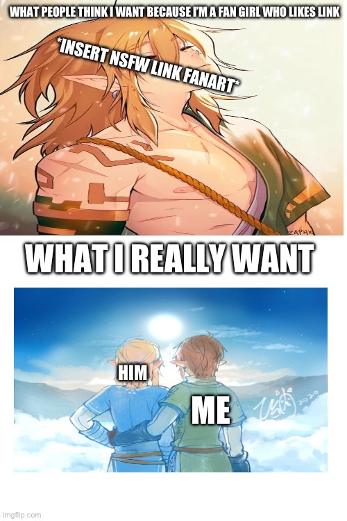Sadly, we will never be | WHAT PEOPLE THINK I WANT BECAUSE I’M A FAN GIRL WHO LIKES LINK; *INSERT NSFW LINK FANART*; WHAT I REALLY WANT; HIM; ME | image tagged in memes,link,the legend of zelda | made w/ Imgflip meme maker