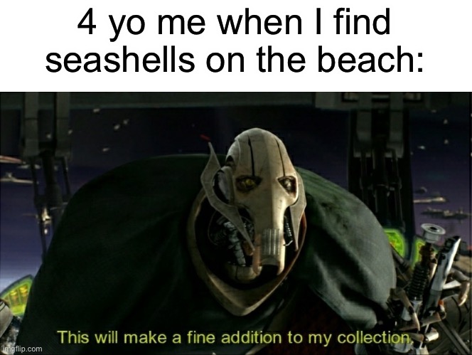 This will make a fine addition to my collection | 4 yo me when I find seashells on the beach: | image tagged in this will make a fine addition to my collection,seashells | made w/ Imgflip meme maker