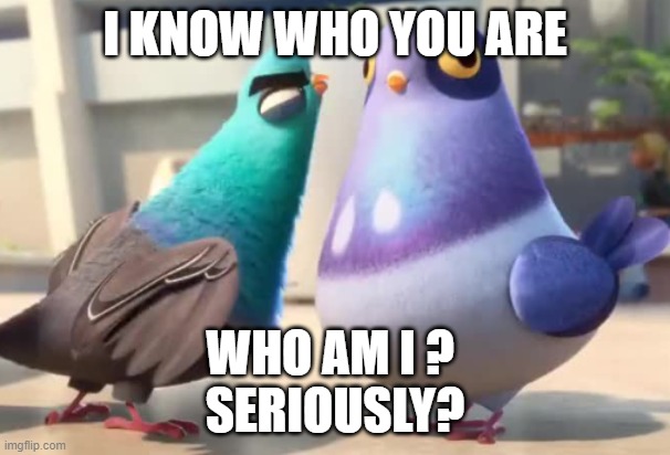 spies in disguise | I KNOW WHO YOU ARE; WHO AM I ? 
SERIOUSLY? | image tagged in spies in disguise | made w/ Imgflip meme maker