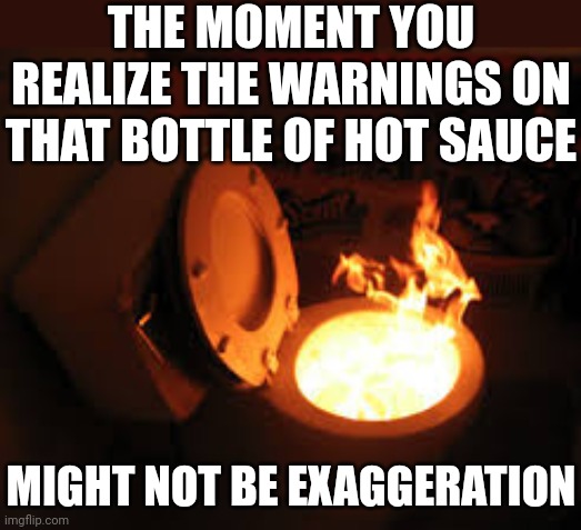 Remember kids, it comes out just as hot as it goes in..... | THE MOMENT YOU REALIZE THE WARNINGS ON THAT BOTTLE OF HOT SAUCE; MIGHT NOT BE EXAGGERATION | image tagged in toilet fire,hot sauce,too hot,circle of life,spicy,food | made w/ Imgflip meme maker