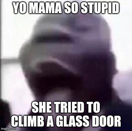 I mean the ai isn't wrong, that is pretty stupid | YO MAMA SO STUPID; SHE TRIED TO CLIMB A GLASS DOOR | image tagged in for the love of god another guy screaming | made w/ Imgflip meme maker