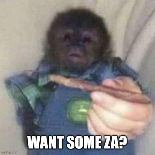 Za? | WANT SOME ZA? | image tagged in funny,monkey | made w/ Imgflip meme maker