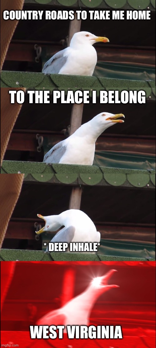 Country roads | COUNTRY ROADS TO TAKE ME HOME; TO THE PLACE I BELONG; * DEEP INHALE*; WEST VIRGINIA | image tagged in memes,inhaling seagull | made w/ Imgflip meme maker
