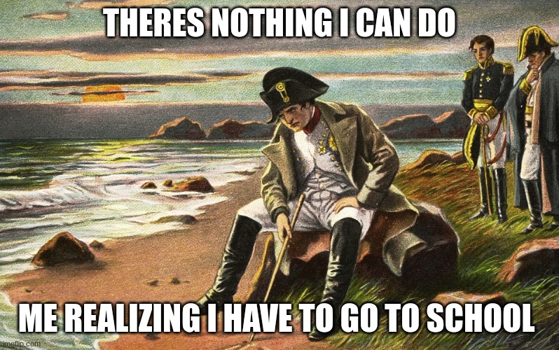f*ck | THERES NOTHING I CAN DO; ME REALIZING I HAVE TO GO TO SCHOOL | image tagged in napoleon | made w/ Imgflip meme maker
