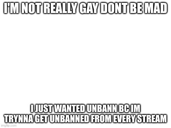 I'M NOT REALLY GAY DONT BE MAD; I JUST WANTED UNBANN BC IM TRYNNA GET UNBANNED FROM EVERY STREAM | made w/ Imgflip meme maker