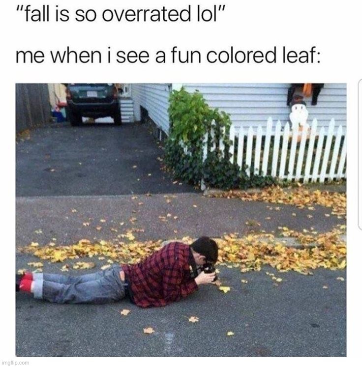 Fall photography slander against myself lol | image tagged in memes,funny | made w/ Imgflip meme maker