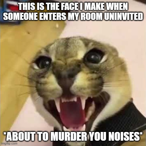 Angry Floppa | THIS IS THE FACE I MAKE WHEN SOMEONE ENTERS MY ROOM UNINVITED; *ABOUT TO MURDER YOU NOISES* | image tagged in angry floppa | made w/ Imgflip meme maker