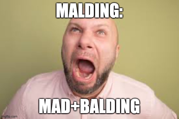 Idk why I made this | MALDING:; MAD+BALDING | image tagged in fun | made w/ Imgflip meme maker