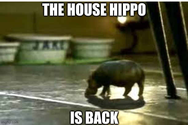 THE HOUSE HIPPO IS BACK | made w/ Imgflip meme maker