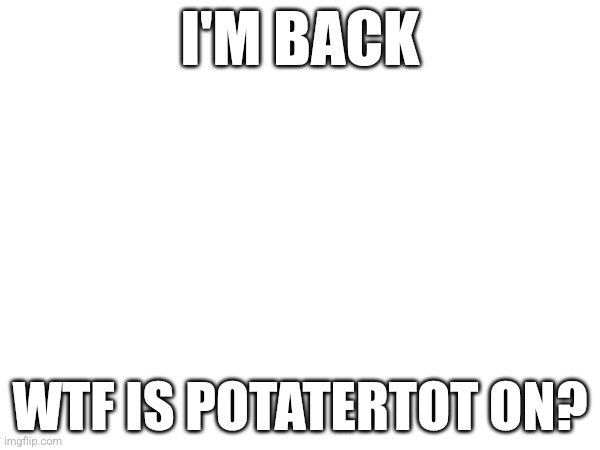 Imma need whatever you're on | I'M BACK; WTF IS POTATERTOT ON? | made w/ Imgflip meme maker