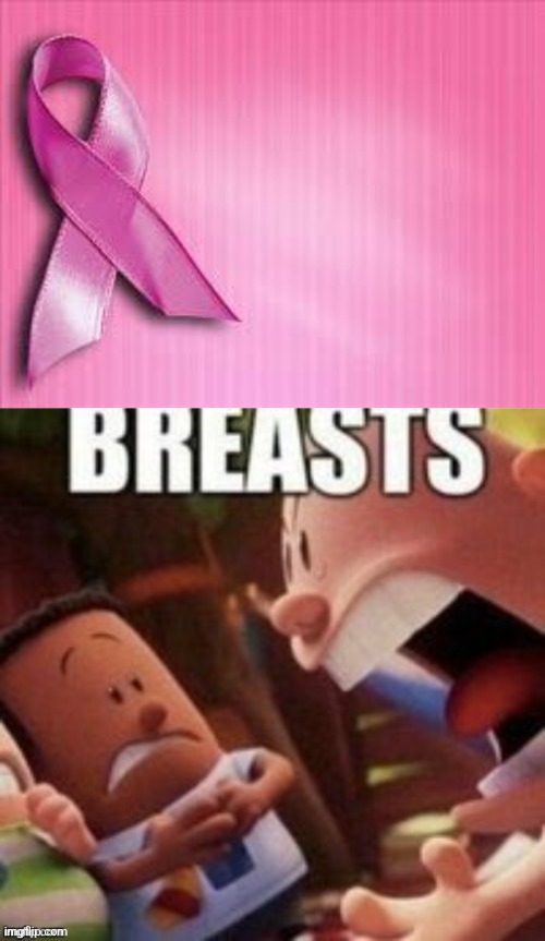 Breasts | image tagged in breast cancer awareness,breasts | made w/ Imgflip meme maker