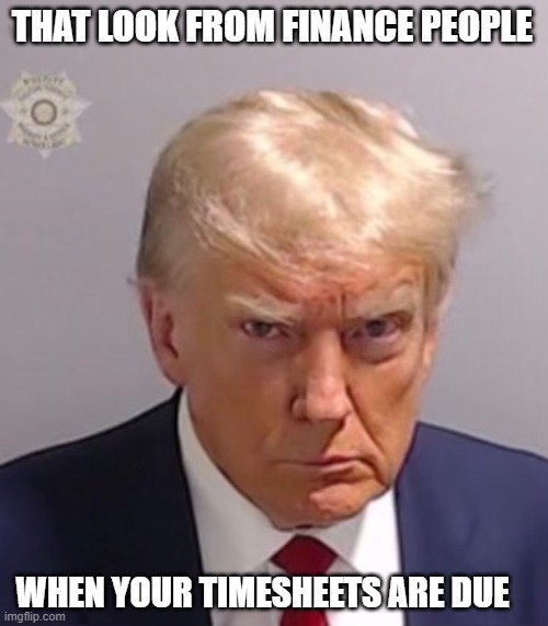 Timesheets | THAT LOOK FROM FINANCE PEOPLE; WHEN YOUR TIMESHEETS ARE DUE | image tagged in donald trump mugshot | made w/ Imgflip meme maker