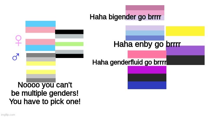 I tried. Looks bad probably, but I tried. btw I'm back. | Haha bigender go brrrr; ♀; ♂; Haha enby go brrrr; Haha genderfluid go brrrr; Noooo you can't be multiple genders! You have to pick one! | image tagged in nooo haha go brrr,gender flags | made w/ Imgflip meme maker