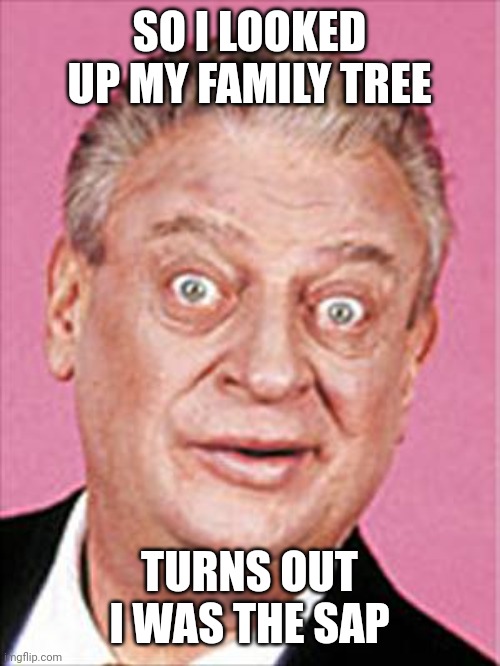 Rodney Dangerfield | SO I LOOKED UP MY FAMILY TREE; TURNS OUT I WAS THE SAP | image tagged in rodney dangerfield | made w/ Imgflip meme maker