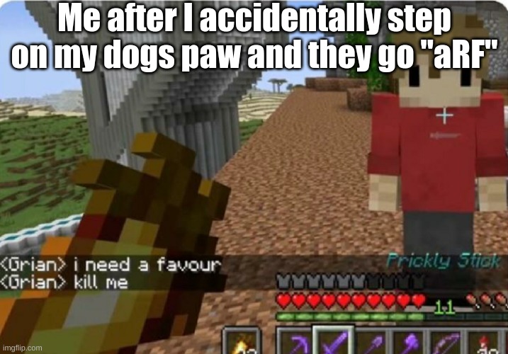 It sucks T~T | Me after I accidentally step on my dogs paw and they go "aRF" | image tagged in grian kill me | made w/ Imgflip meme maker