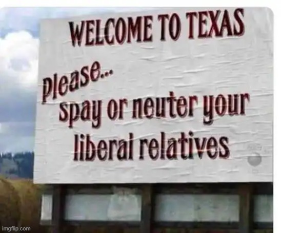 LOLOL!! | image tagged in texas,democrats,liberals | made w/ Imgflip meme maker