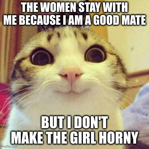 but I don't make the girl horny | THE WOMEN STAY WITH ME BECAUSE I AM A GOOD MATE; BUT I DON'T MAKE THE GIRL HORNY | image tagged in memes,smiling cat | made w/ Imgflip meme maker