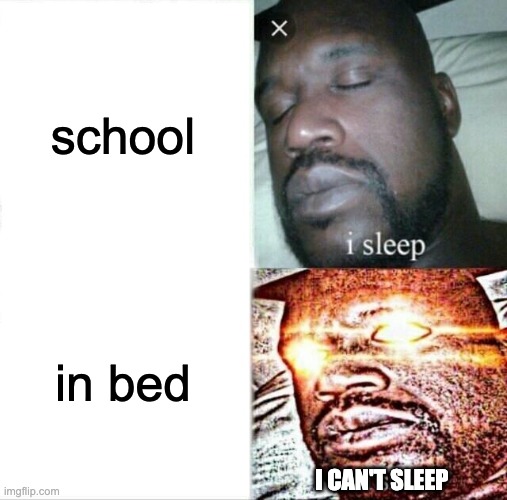 why | school; in bed; I CAN'T SLEEP | image tagged in memes,sleeping shaq | made w/ Imgflip meme maker