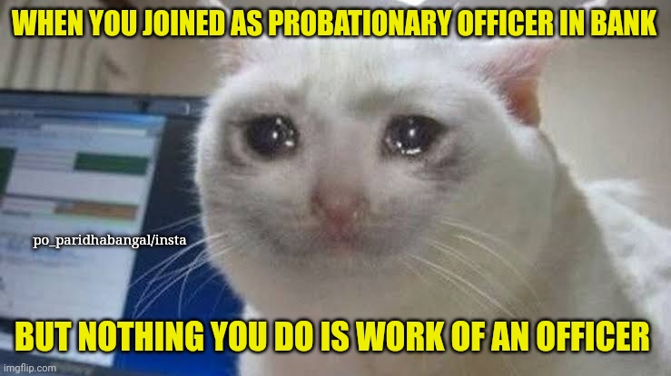 WHEN YOU JOINED AS PROBATIONARY OFFICER IN BANK; po_paridhabangal/insta; BUT NOTHING YOU DO IS WORK OF AN OFFICER | image tagged in bankers,banks,work,work sucks | made w/ Imgflip meme maker