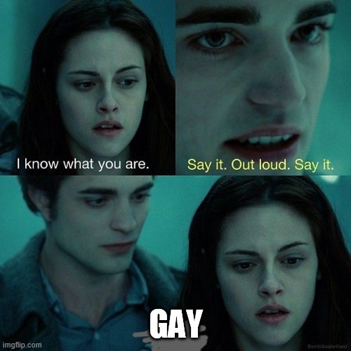 Say it out loud | GAY | image tagged in say it out loud | made w/ Imgflip meme maker