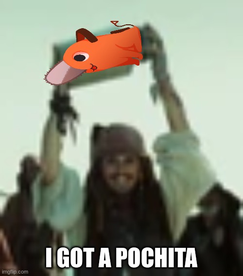 I got a jar of dirt | I GOT A POCHITA | image tagged in i got a jar of dirt | made w/ Imgflip meme maker