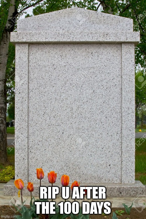 Gravestone | RIP U AFTER THE 100 DAYS | image tagged in gravestone | made w/ Imgflip meme maker