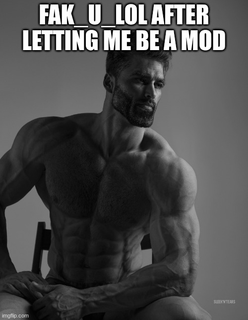 hope i got the username right lol | FAK_U_LOL AFTER LETTING ME BE A MOD | image tagged in giga chad | made w/ Imgflip meme maker