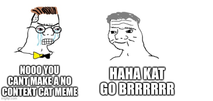 nooo haha go brrr | NOOO YOU CANT MAKE A NO CONTEXT CAT MEME HAHA KAT GO BRRRRRR | image tagged in nooo haha go brrr | made w/ Imgflip meme maker