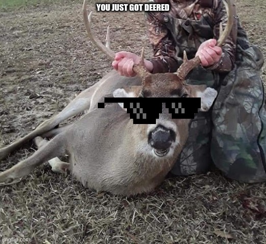 you just got deered | YOU JUST GOT DEERED | image tagged in whitetail deer | made w/ Imgflip meme maker