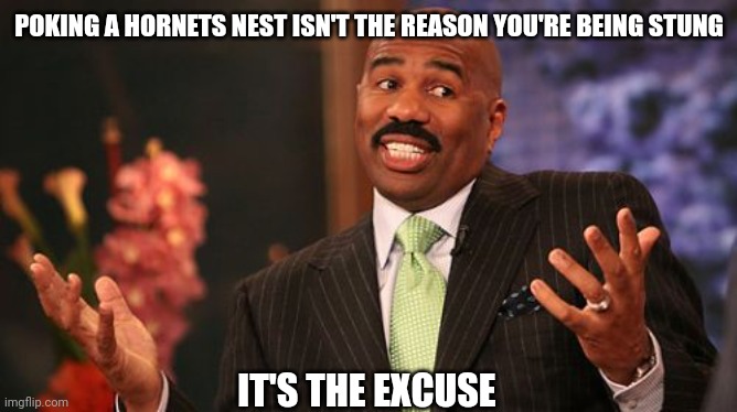 Steve Harvey Meme | POKING A HORNETS NEST ISN'T THE REASON YOU'RE BEING STUNG IT'S THE EXCUSE | image tagged in memes,steve harvey | made w/ Imgflip meme maker